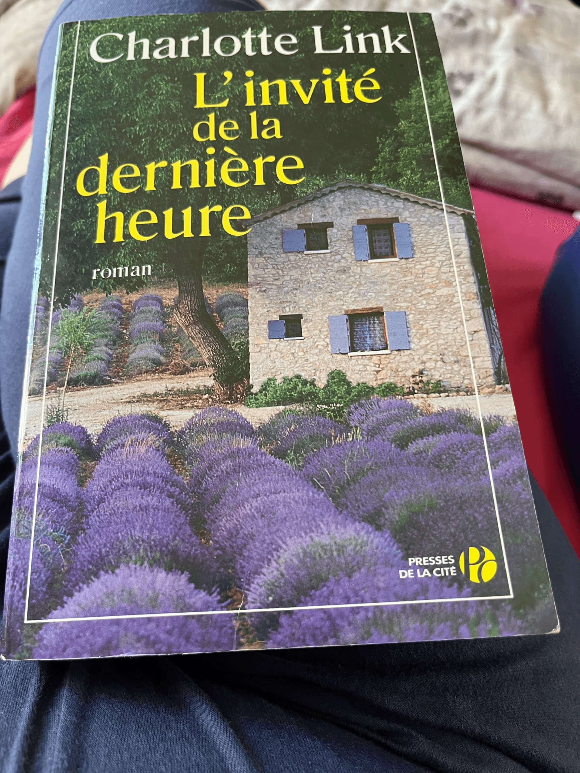 Livre L’invité de la dernière heure