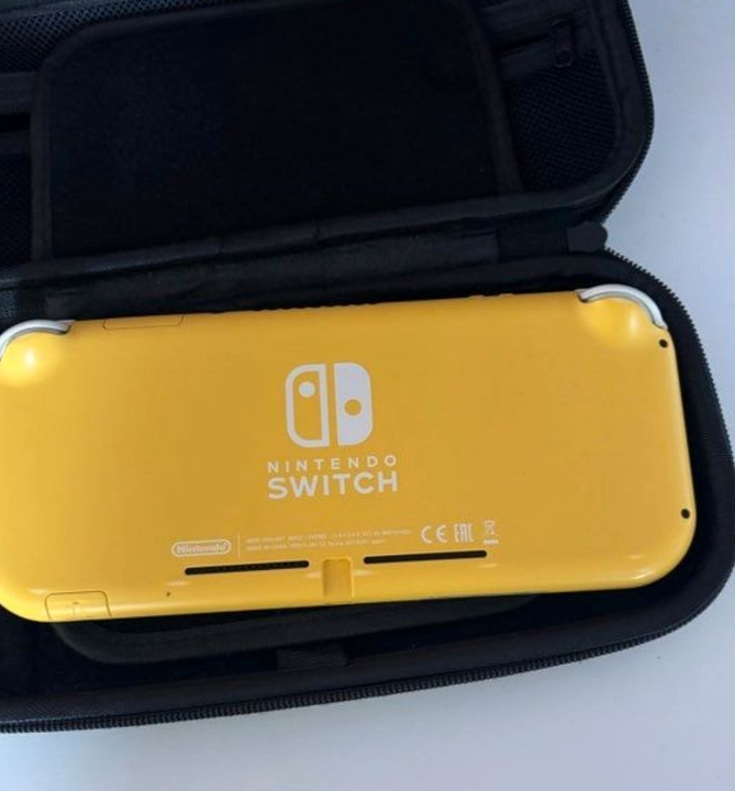 Nintendo switch lite
