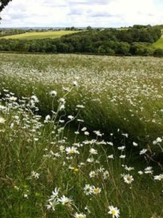 Terrain 475 m² Avoine