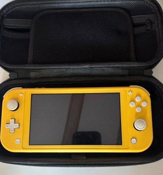 Nintendo switch lite