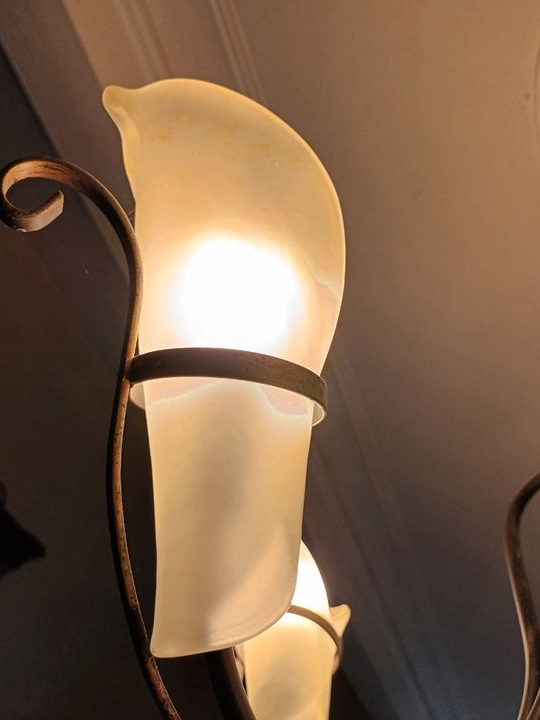 Lustre avec tulipe en opaline