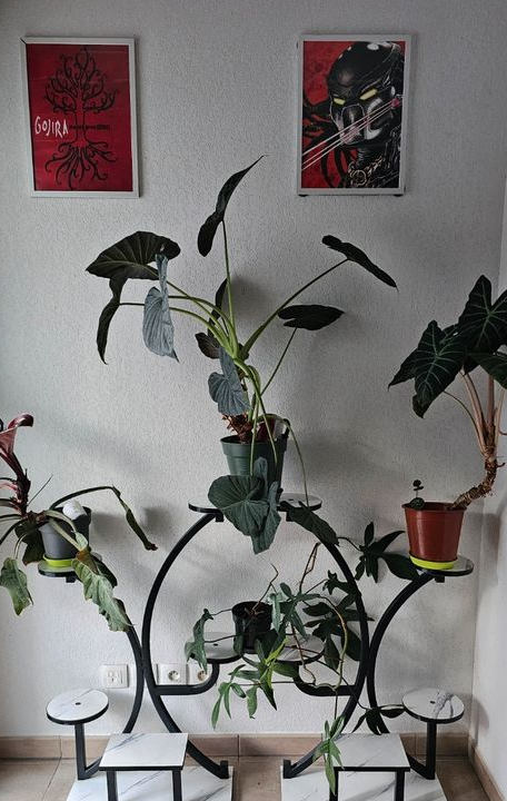 Meuble support pour plantes design