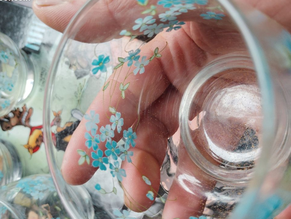 Série de 4 verres vintage myosotis