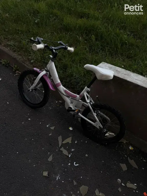 Vélo Enfant Fille Scrapper 16 pouces