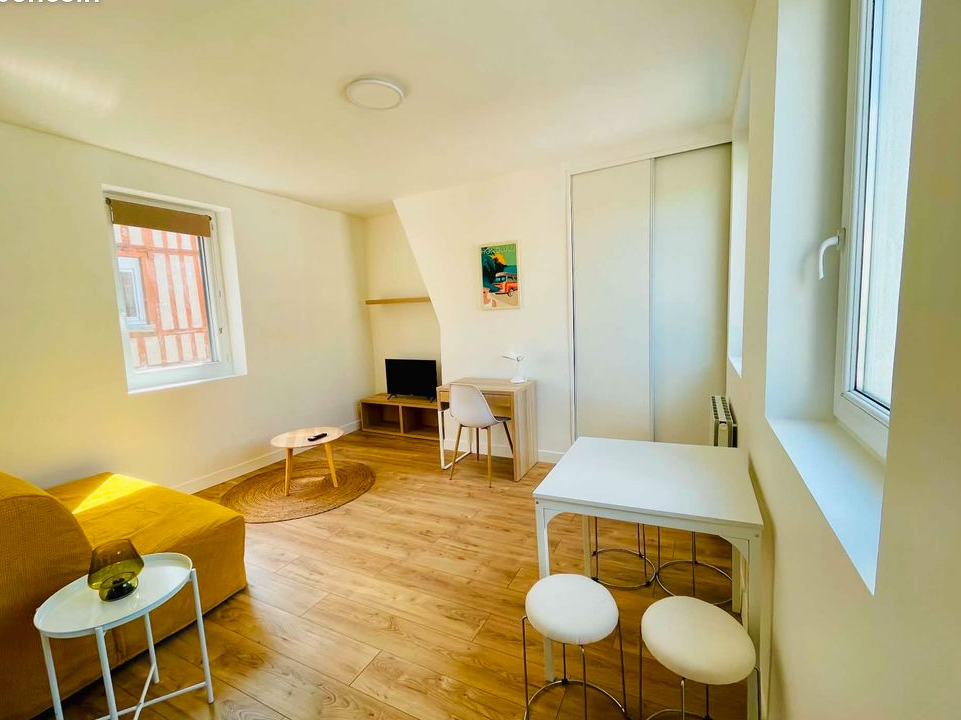Appartement meublé 1 pièce à louer