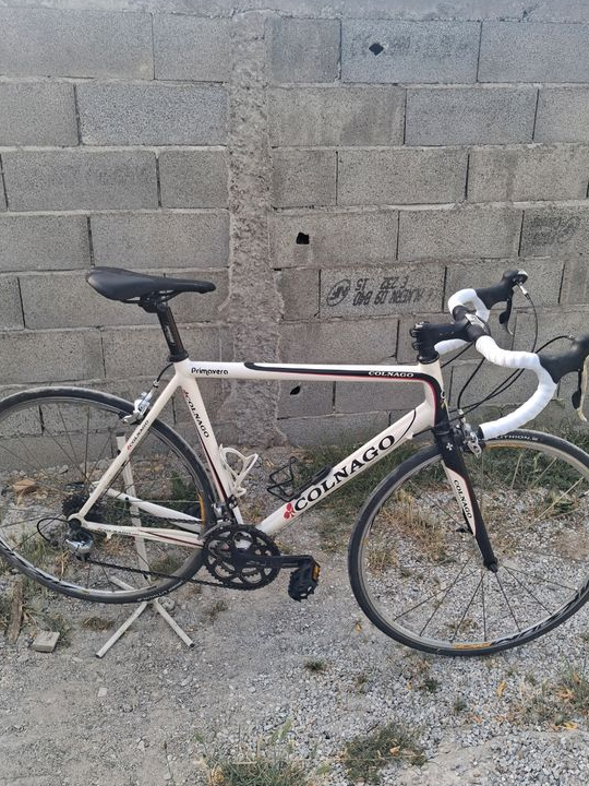 Velo Colnago primavera