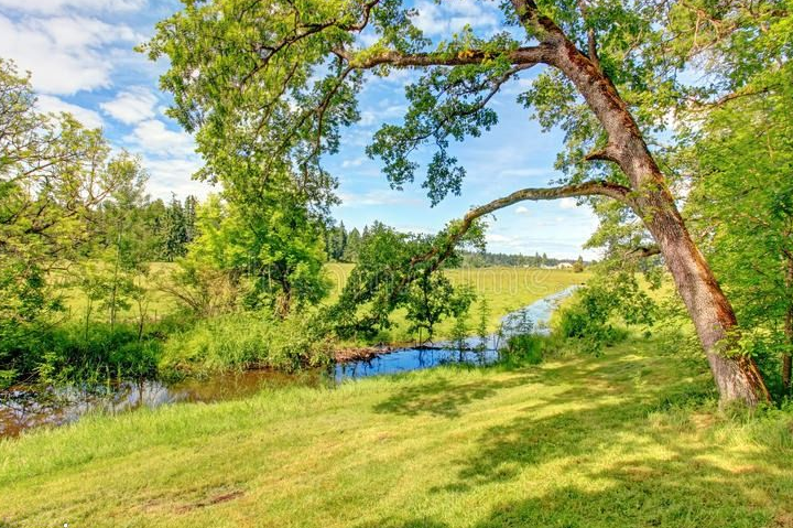 Maison 4 pièces 83 m²