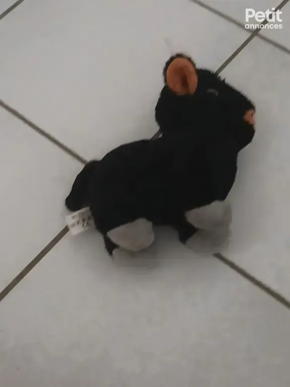 vend divers peluche au choix très bon état complet
