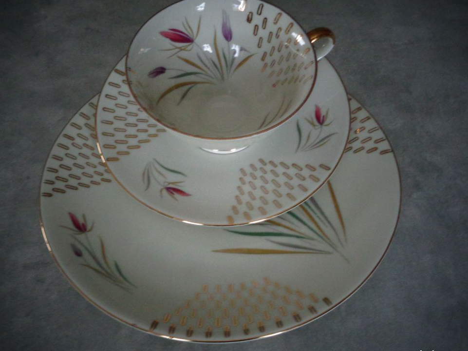 Service à café solo porcelaine ( BAREUTHER BAVARIA )