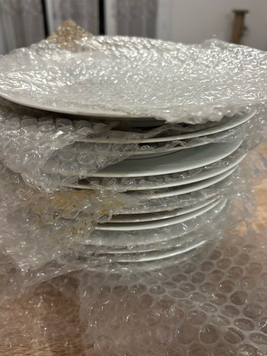 14 assiettes plates Haviland Limoges – Porcelaine – Ø 24 cm