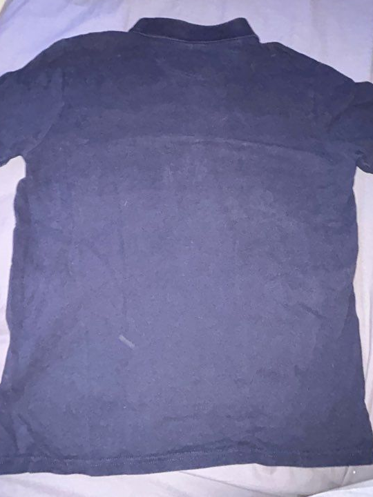 Polo champion