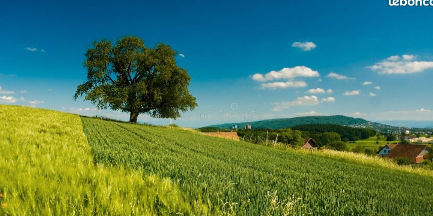 Maison 5 pièces 105 m²