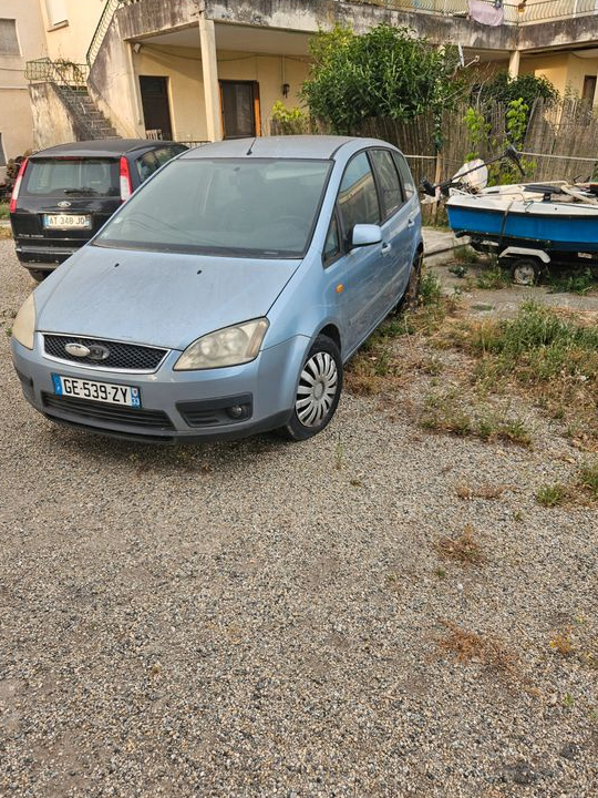 2 fords cmax