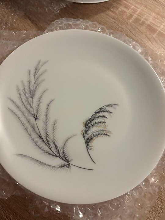 14 assiettes plates Haviland Limoges – Porcelaine – Ø 24 cm