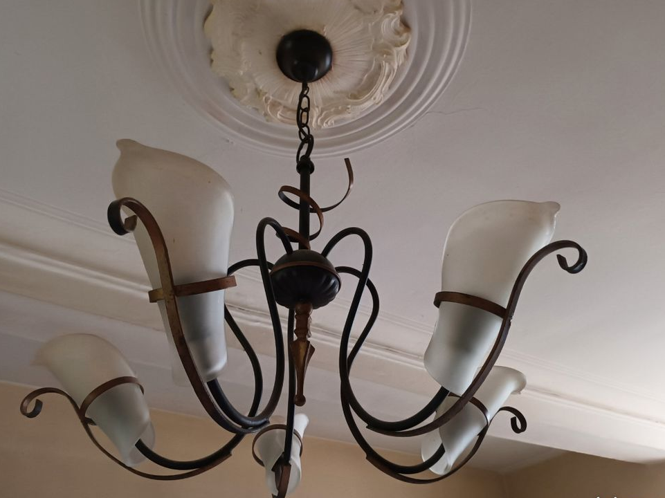 Lustre avec tulipe en opaline