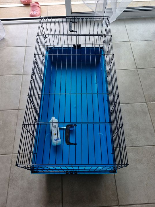 Cage gros rongeur