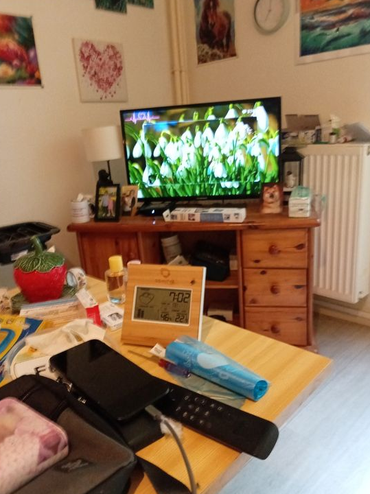 Televiseur