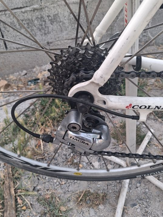Velo Colnago primavera