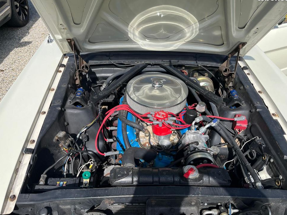 Ford mustang 1966 V8 white Wimbledon