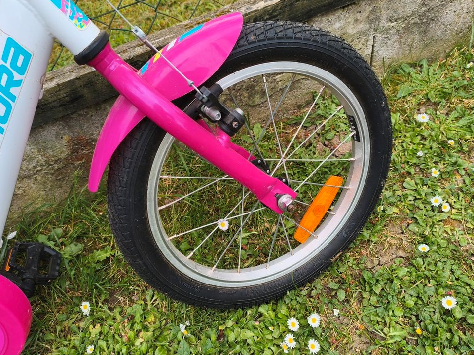 Vélo 3/6 ans + panier + roulette + casque