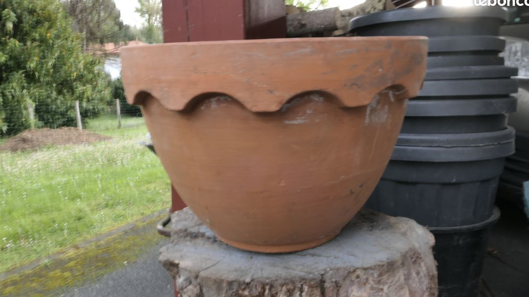 Grand pot de fleurs en terre