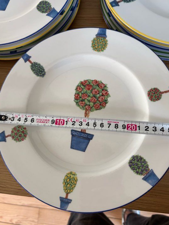 6 assiettes porcelaine arbres fleurs