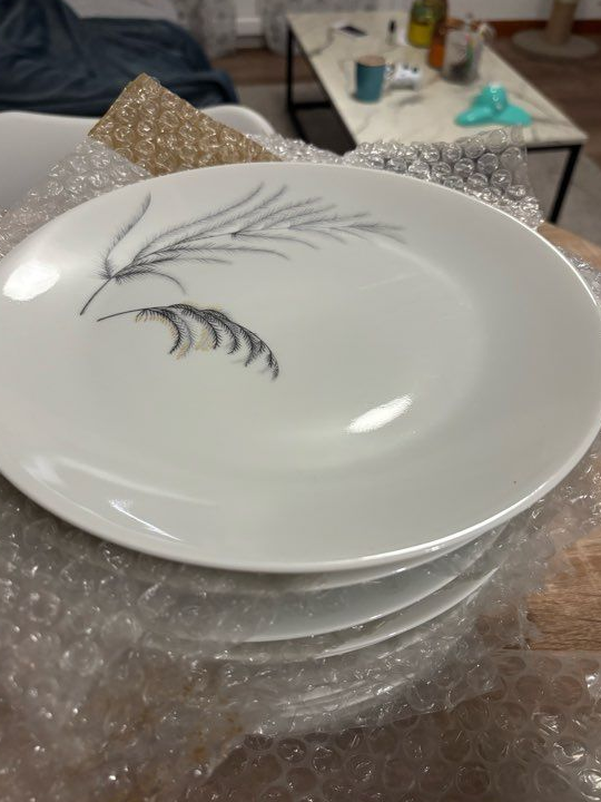 14 assiettes plates Haviland Limoges – Porcelaine – Ø 24 cm