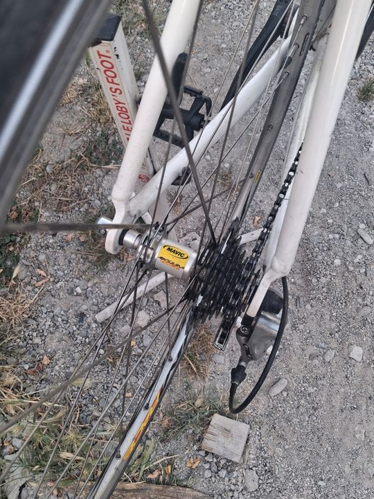 Velo Colnago primavera