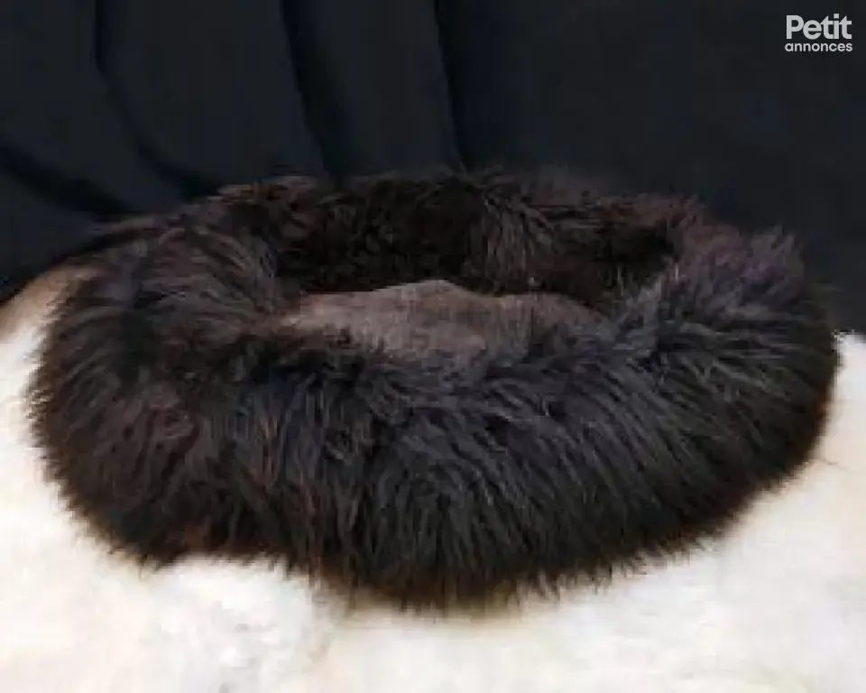 Paniers pour chiens, XXL, en peau de mouton naturelle