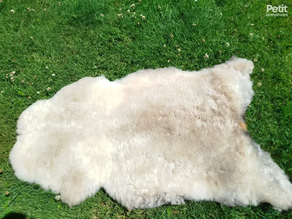 tapis en peau de mouton suédois