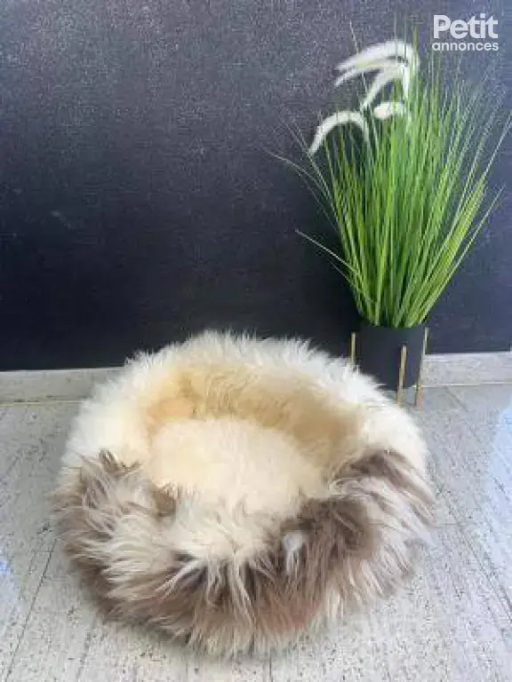 Paniers pour chats en peau de mouton naturelle
