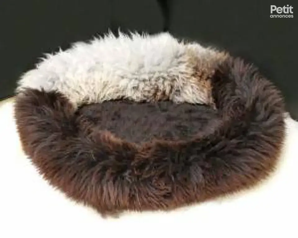 Paniers pour chiens, XXL, en peau de mouton naturelle