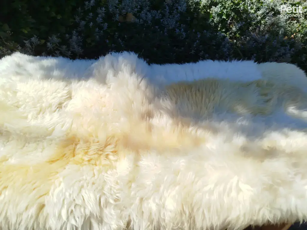 Tapis patchwork en peau de mouton, 2 m