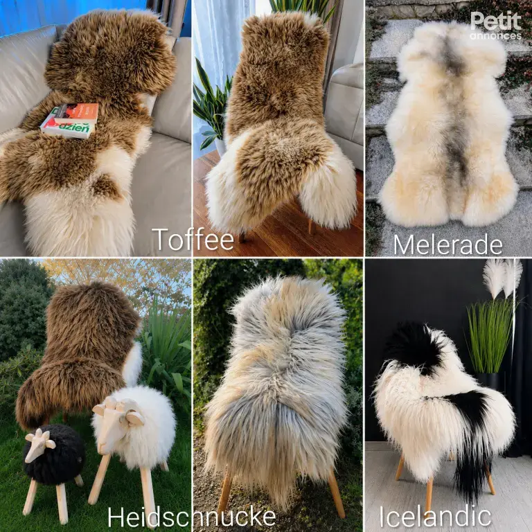 Un large choix de peaux de mouton/cuir Adam de haute qualité