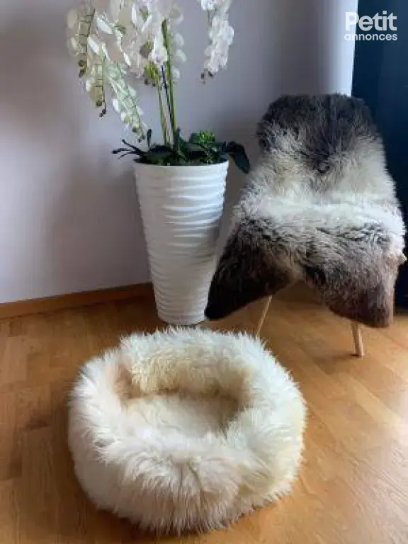 Paniers pour chats en peau de mouton naturelle