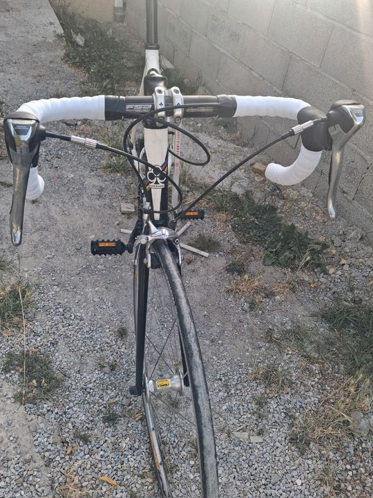 Velo Colnago primavera