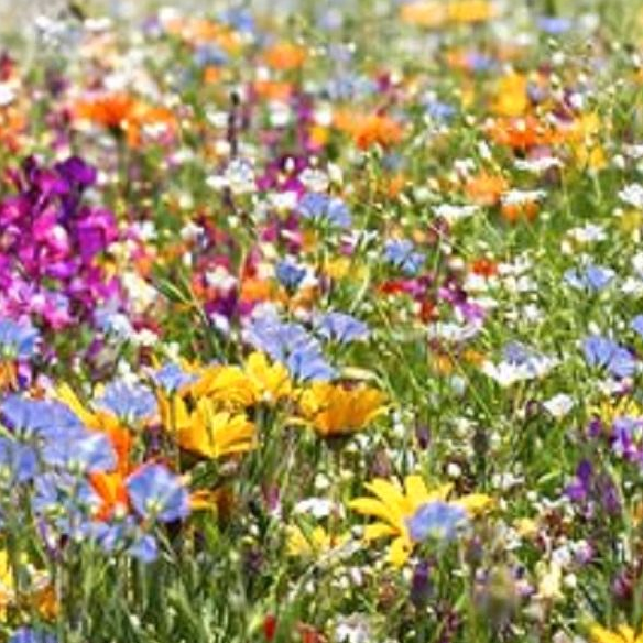 Maison 6 pièces 150 m²