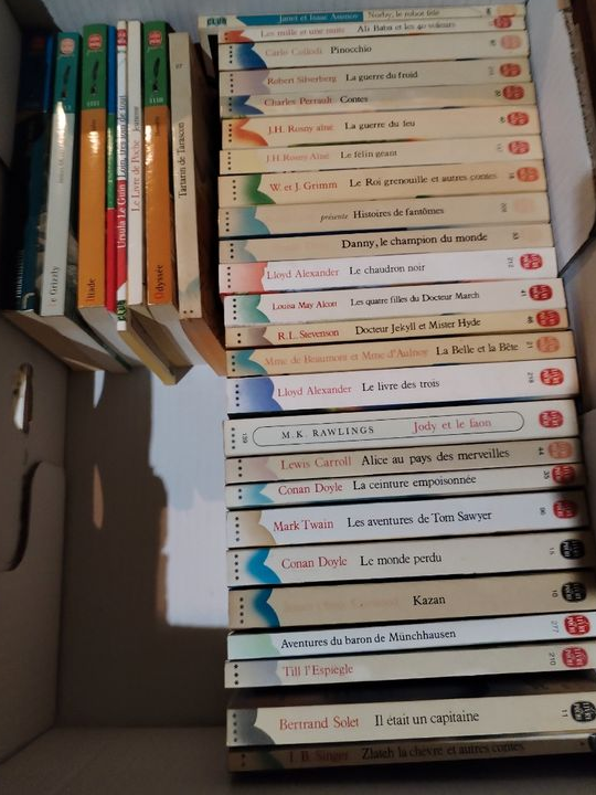 Livre de poche enfants