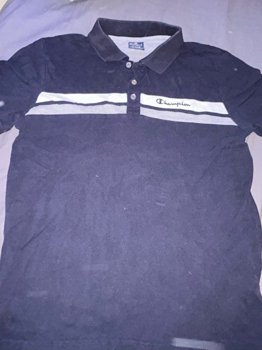 Polo champion