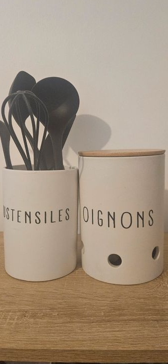 Pots à ustensiles et oignons
