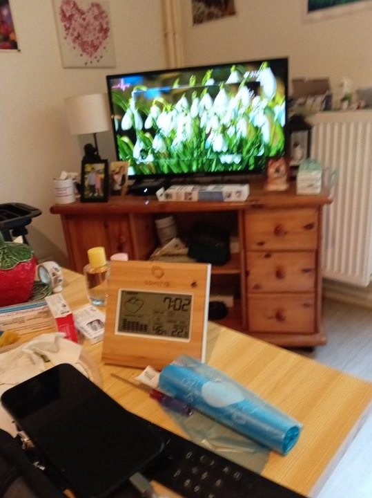 Televiseur