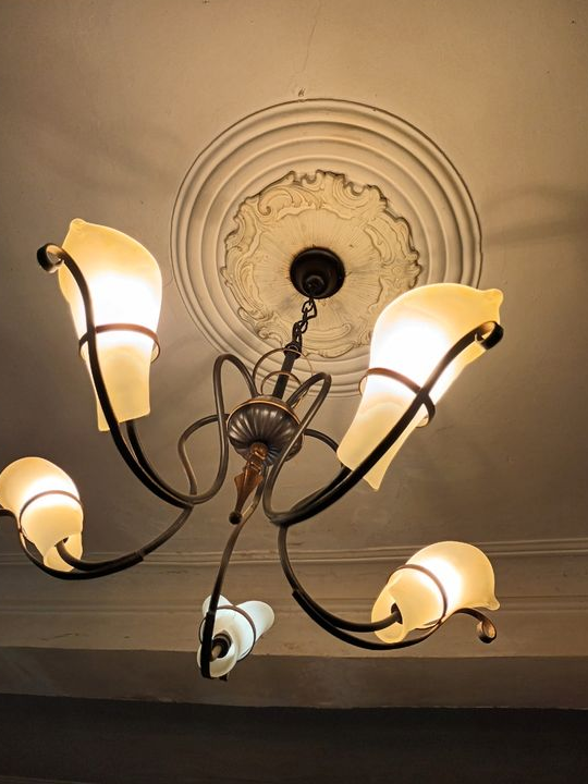 Lustre avec tulipe en opaline