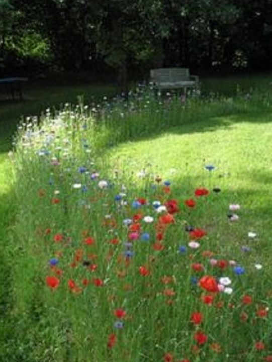 Maison 3 pièces 70 m²