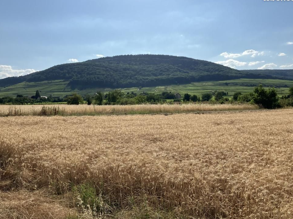 Remise 5 pièces 100 m²