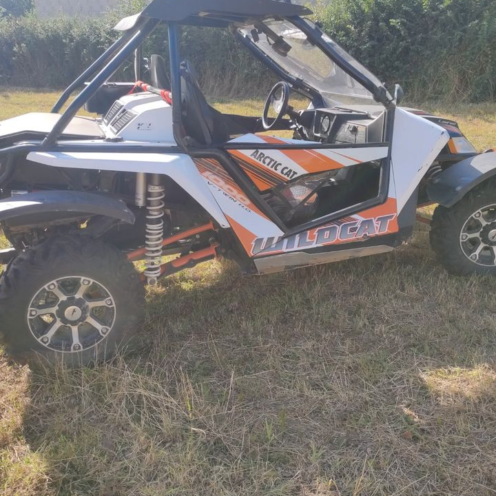 Ssv / buggy