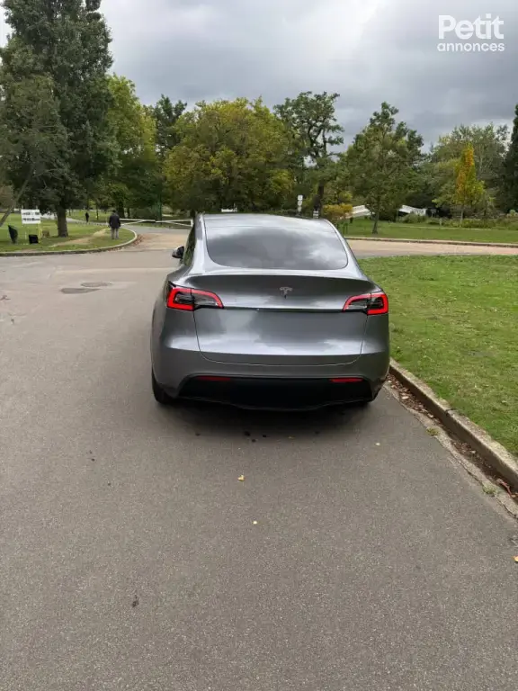 Tesla model y propulsion