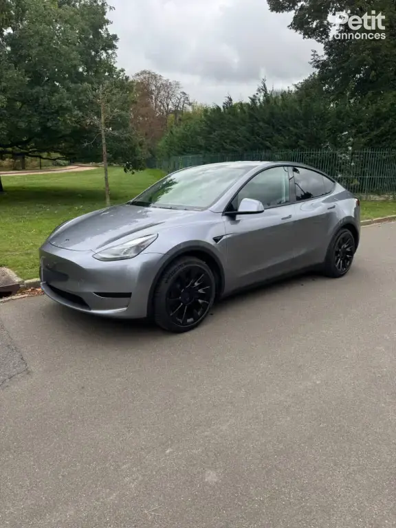 Tesla model y propulsion