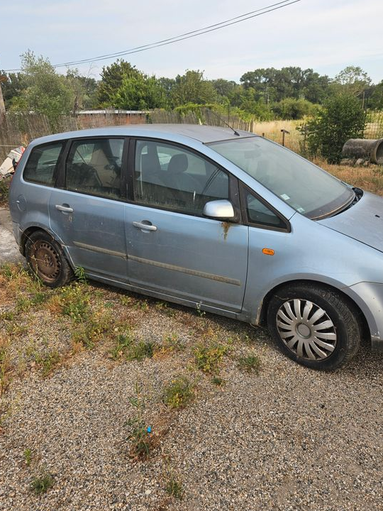 2 fords cmax