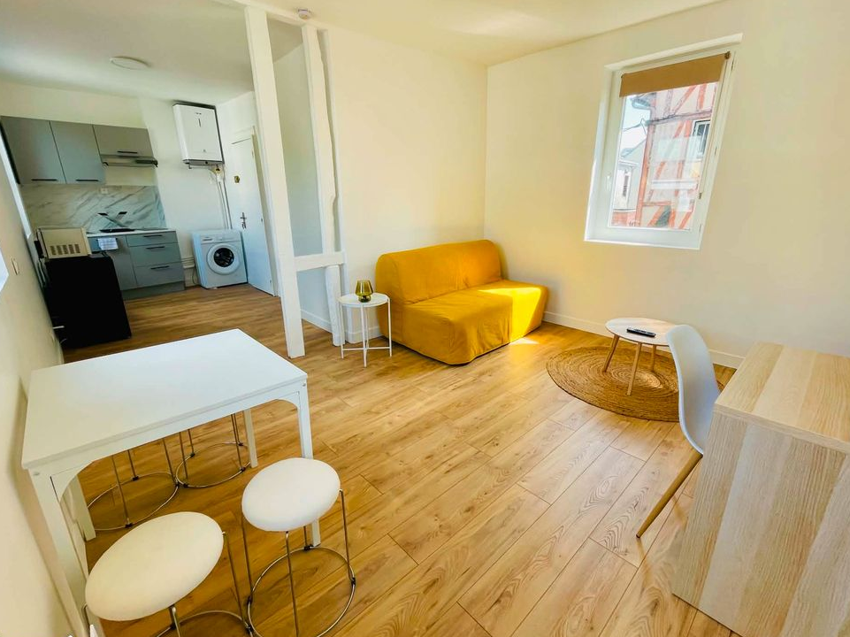 Appartement meublé 1 pièce à louer